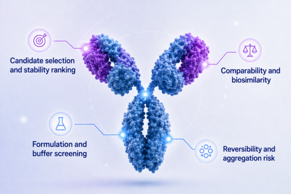 Antibody thermal stability analysis by Differential Scanning Calorimetry DSC: candidate selection, biosimilarity, formulation screening, and aggregation risk assessment.