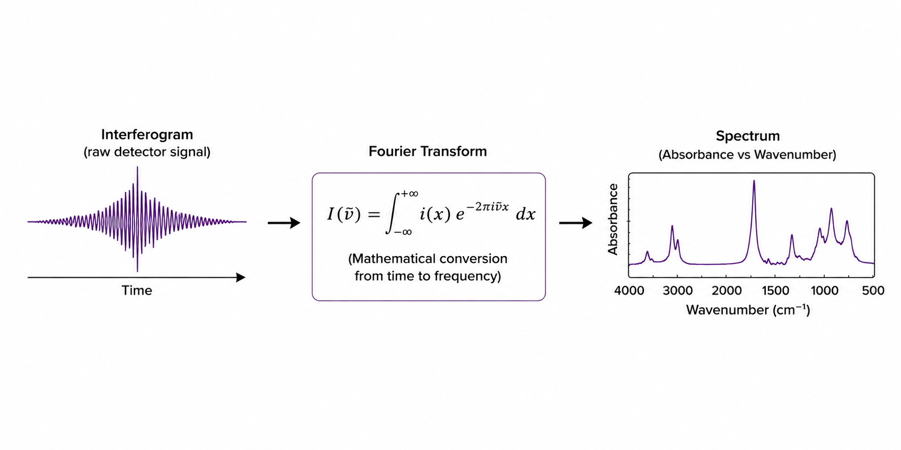 FTIR signal processing: raw interferogram converted to infrared absorption spectrum via Fourier transform equation (time to frequency domain, 500–4000 cm⁻¹)